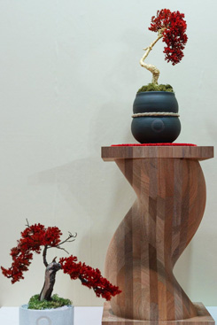 浜名湖花博2024でPR大使を勤めた當間ローズさん